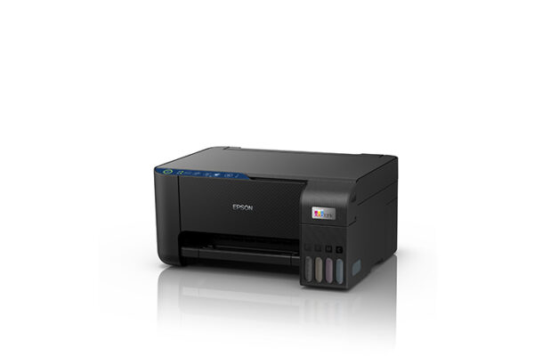 epson C11CJ67302-2